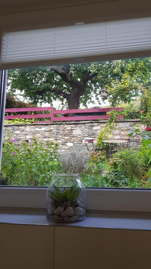 Blick Ueber Krems Mit Gartenpavillon Ngoại thất bức ảnh